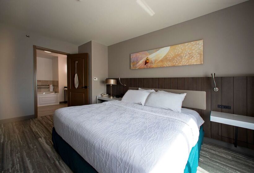 هتل Hilton Garden Inn Rapid City