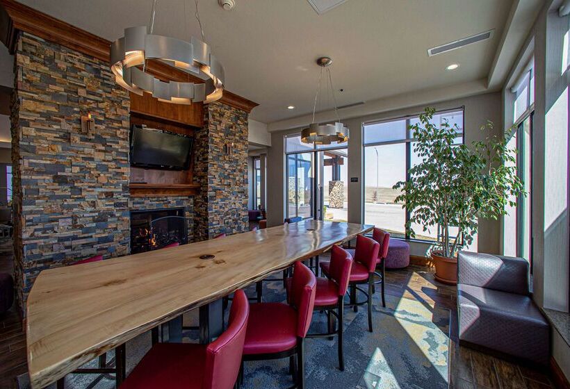 هتل Hilton Garden Inn Rapid City
