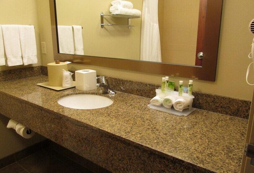 هتل Holiday Inn Express & Suites Sioux Falls Southwest, An Ihg