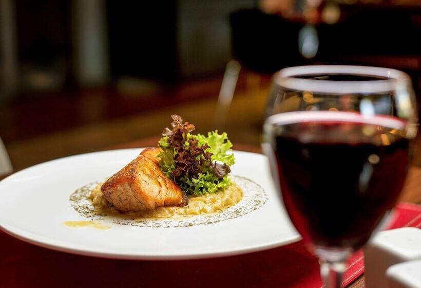 هتل Ibis Santiago Estacion Central