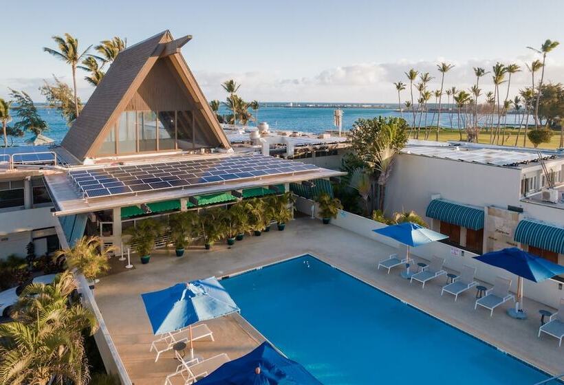 فندق Maui Beach