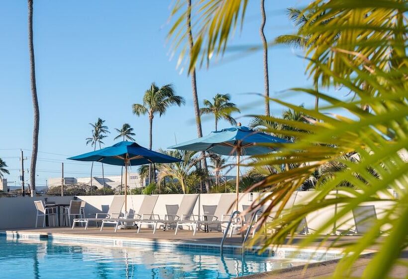 فندق Maui Beach