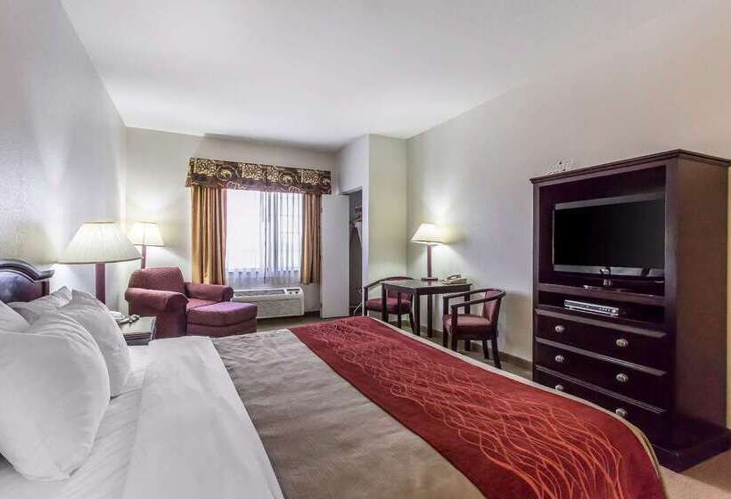 فندق Quality Inn & Suites