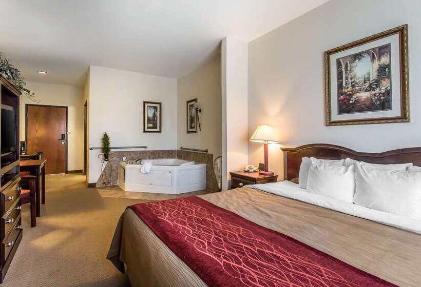 فندق Quality Inn & Suites