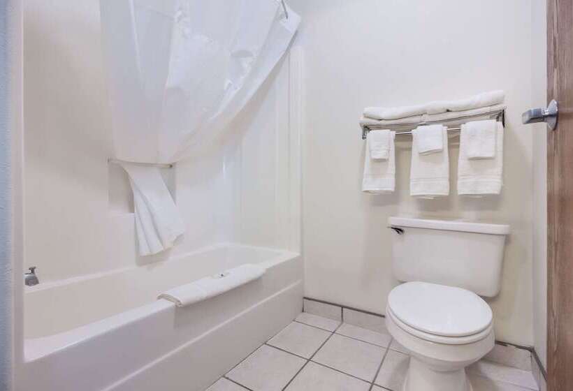 فندق Quality Inn & Suites