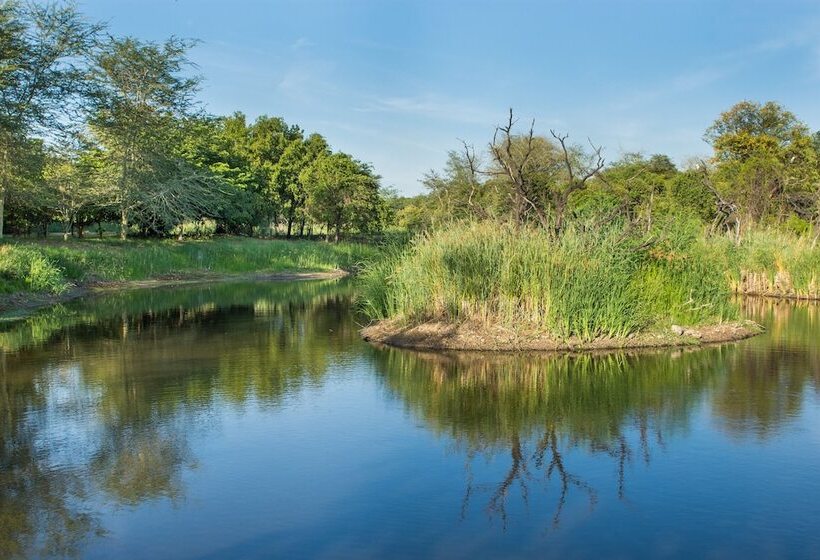 ホテル Sefapane Lodge And Safaris