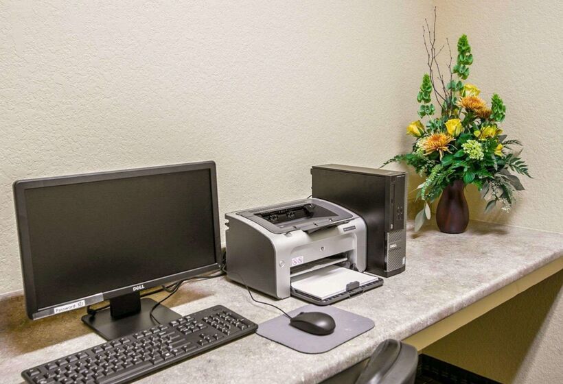 Отель Sleep Inn & Suites Near Palmetto State Park