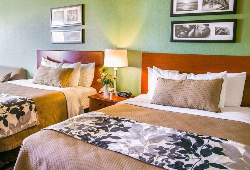 Отель Sleep Inn & Suites Near Palmetto State Park