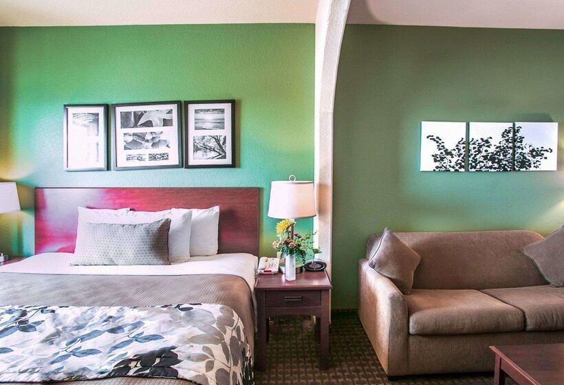 Отель Sleep Inn & Suites Near Palmetto State Park