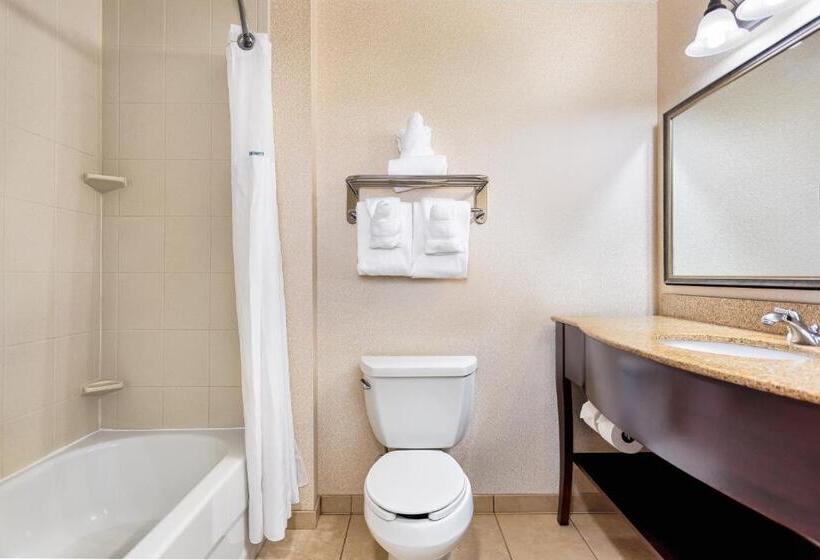 בית מלון כפרי Wingate By Wyndham Columbia / Lexington