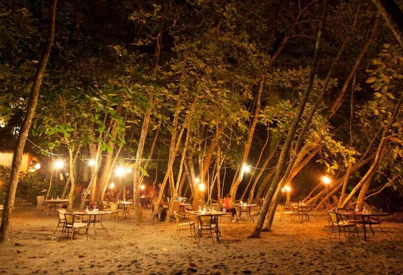 Arenas Del Mar Beachfront & Rainforest Resort Member Of The Cayuga Collection