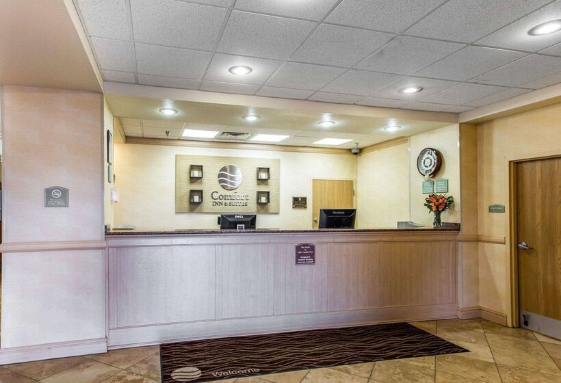 فندق Comfort Inn & Suites