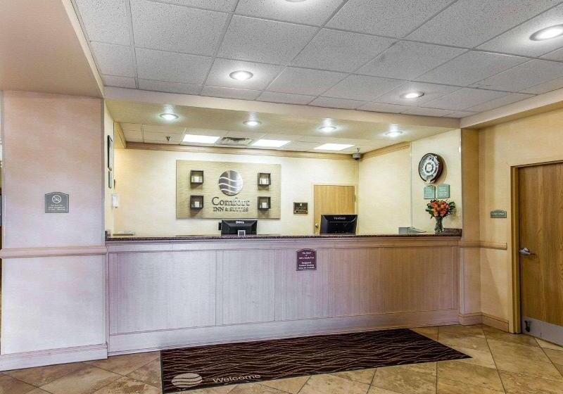 فندق Comfort Inn & Suites