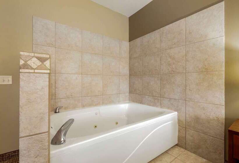 هتل Comfort Inn Ploverstevens Point