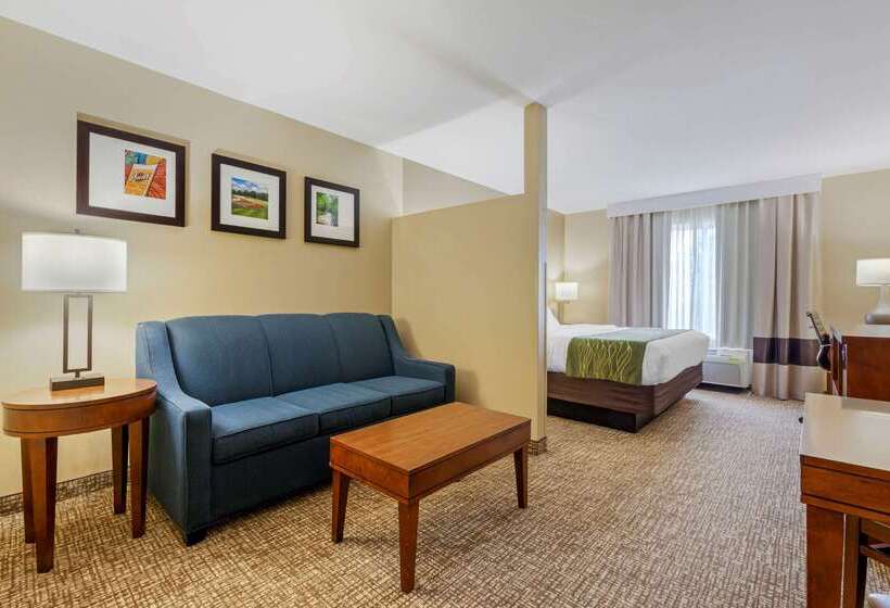 هتل Comfort Inn Ploverstevens Point