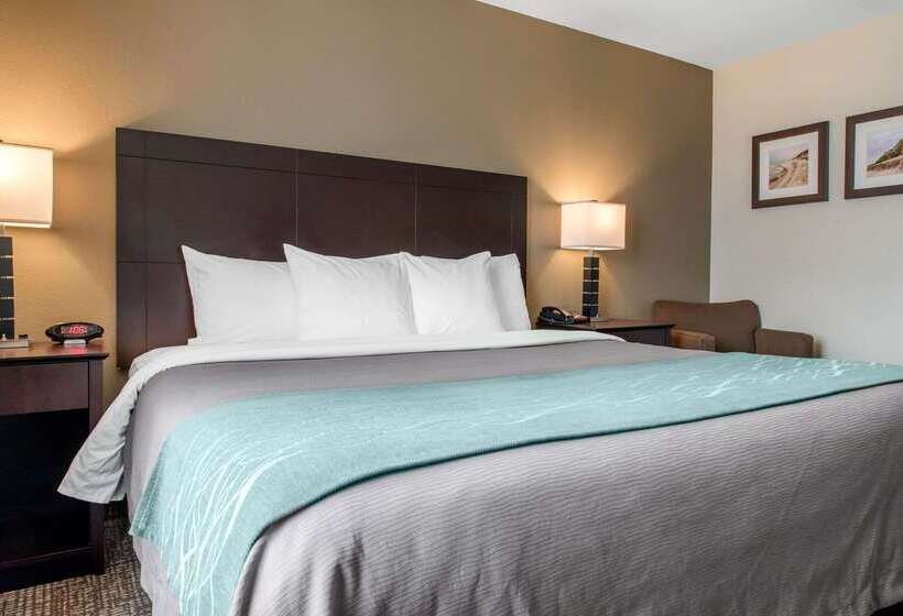 فندق Comfort Inn & Suites Porter Near Indiana Dunes