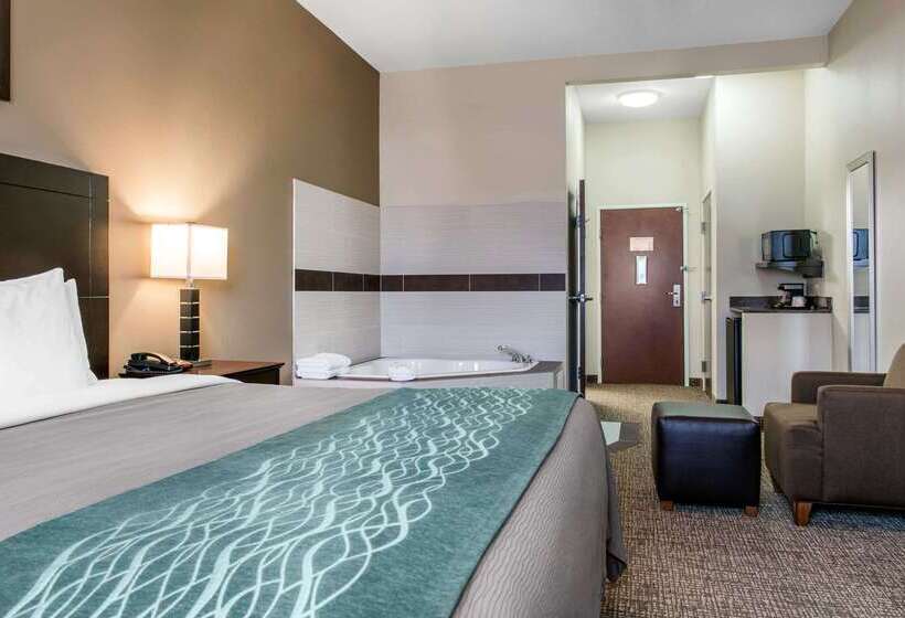 فندق Comfort Inn & Suites Porter Near Indiana Dunes