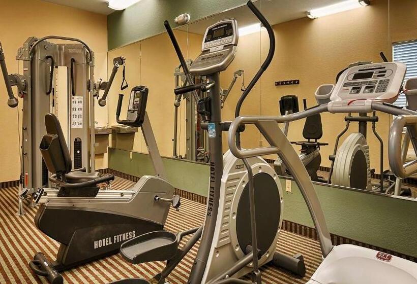 酒店 Executive Inn & Suites