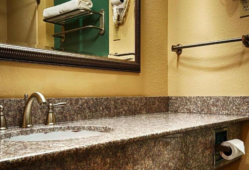 酒店 Executive Inn & Suites