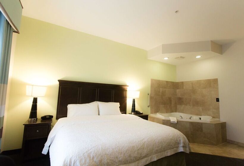 فندق Hampton Inn & Suites Middlebury