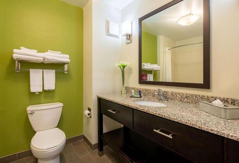 בית מלון כפרי Sleep Inn & Suites Harbour Pointe