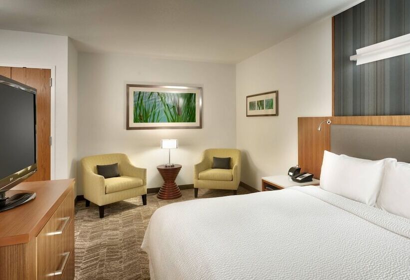 Springhill Suites By Marriott Rexburg