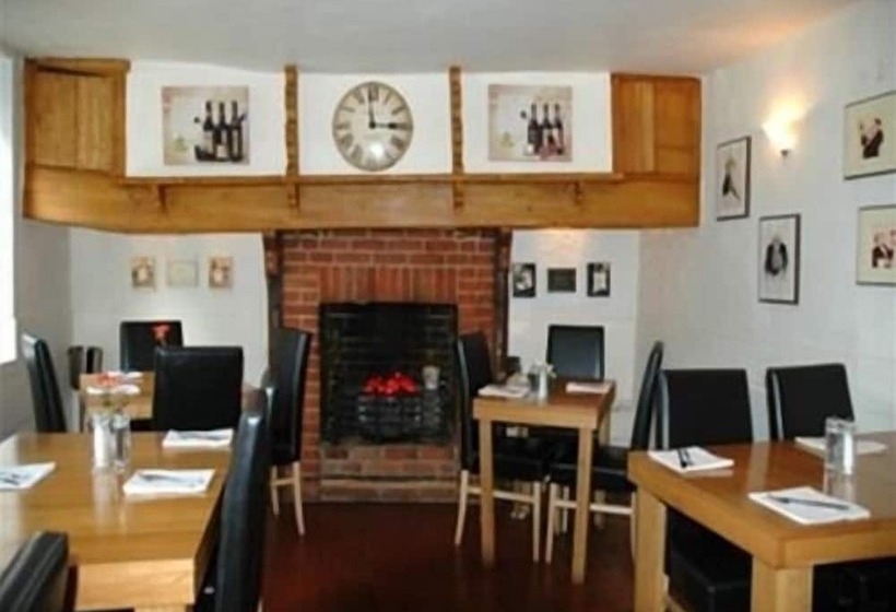 Bed and Breakfast Falcon Inn