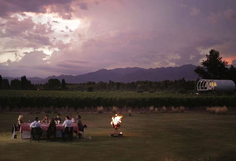 هتل Entre Cielos Wine & Wellness