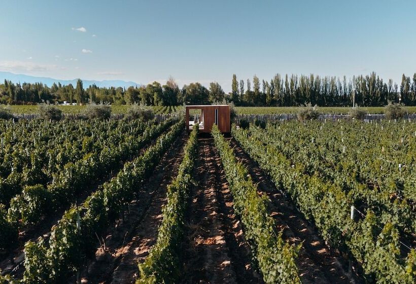 هتل Entre Cielos Wine & Wellness