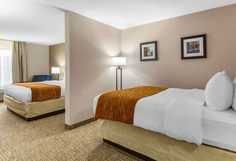 酒店 Comfort Inn Smithfield Near I 95