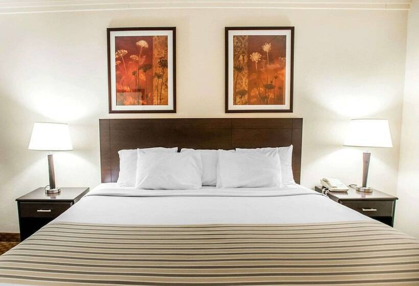 ホテル Econo Lodge Inn & Suites Shamokin Dam   Selinsgrove