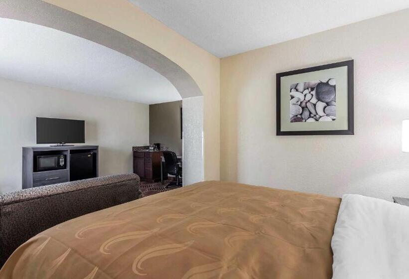 ホテル Quality Inn & Suites
