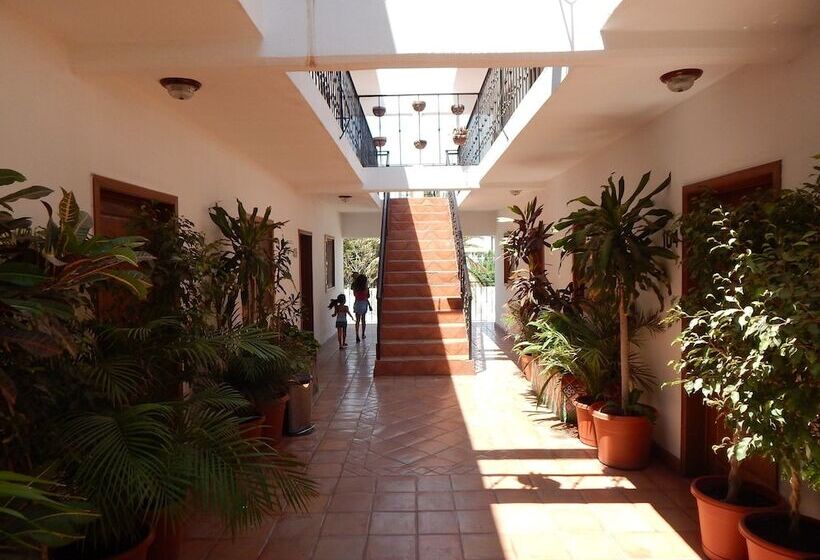 هتل Cabo Cush
