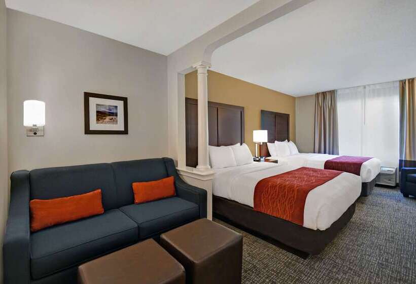 فندق Comfort Inn & Suites