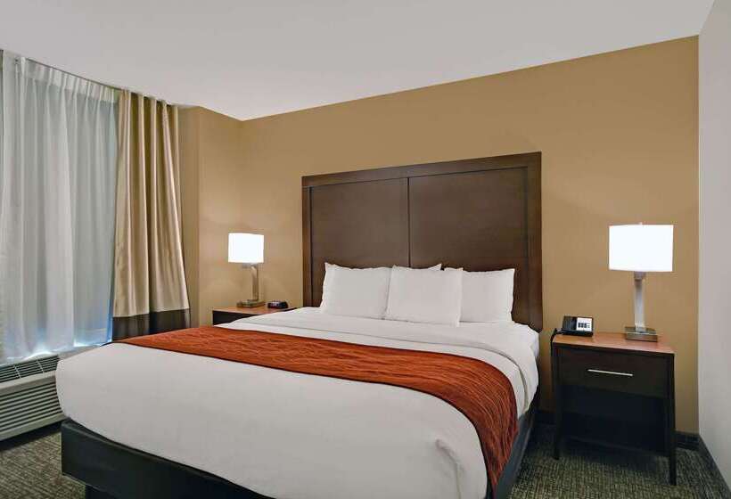 فندق Comfort Inn & Suites