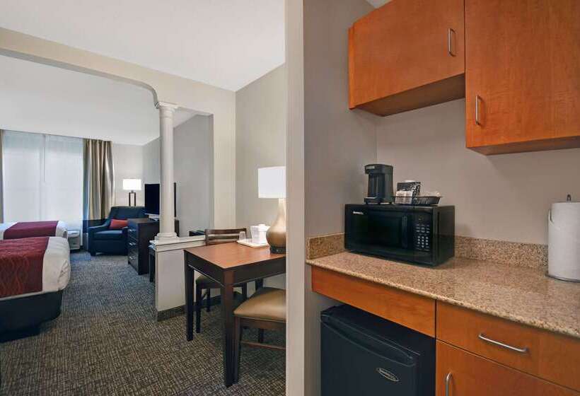 فندق Comfort Inn & Suites