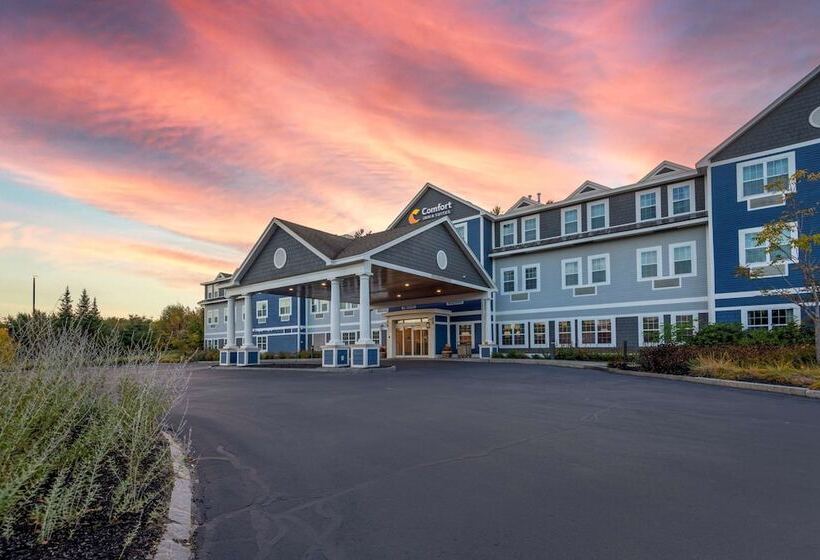 فندق Comfort Inn & Suites