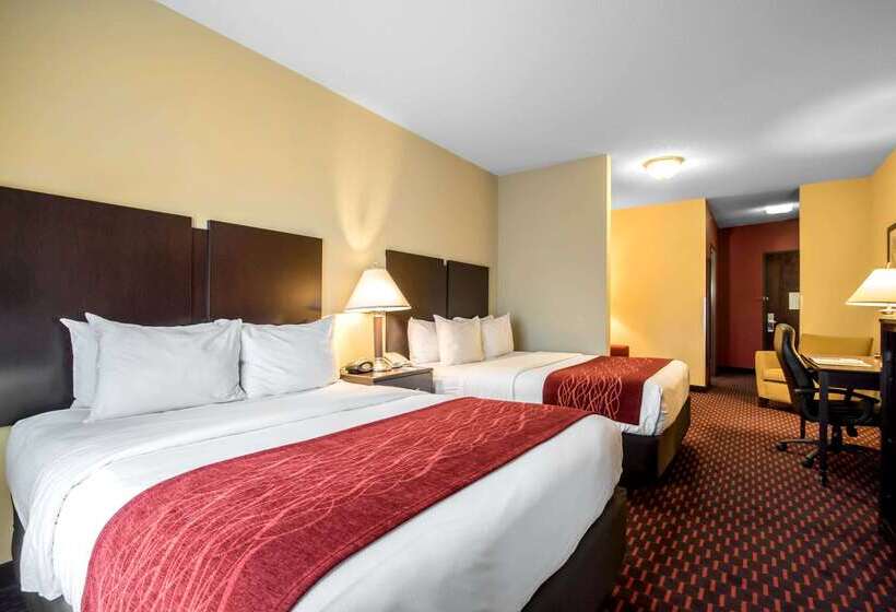ホテル Comfort Inn & Suites