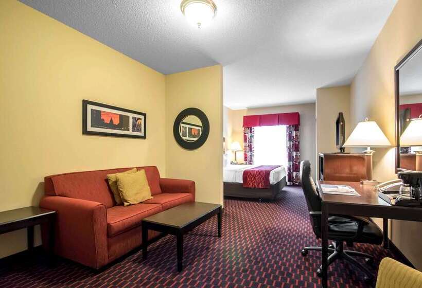 ホテル Comfort Inn & Suites
