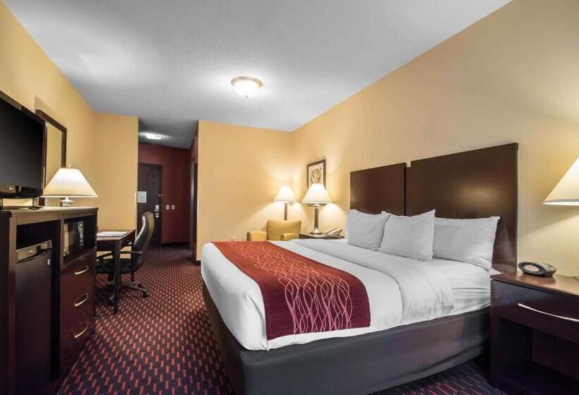 ホテル Comfort Inn & Suites