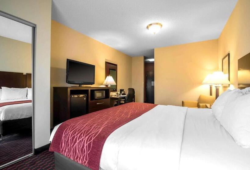 ホテル Comfort Inn & Suites