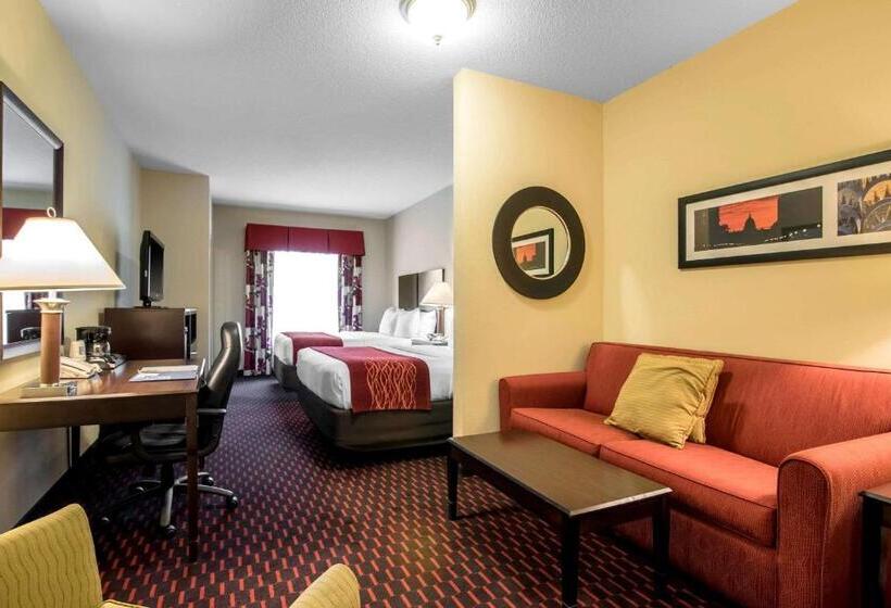 ホテル Comfort Inn & Suites