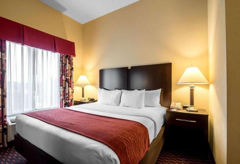 ホテル Comfort Inn & Suites