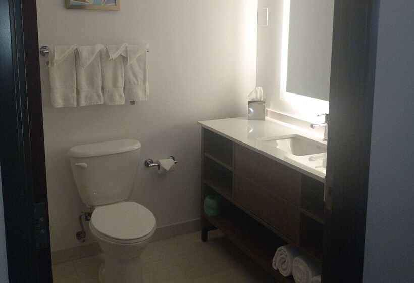 ホテル Comfort Inn & Suites