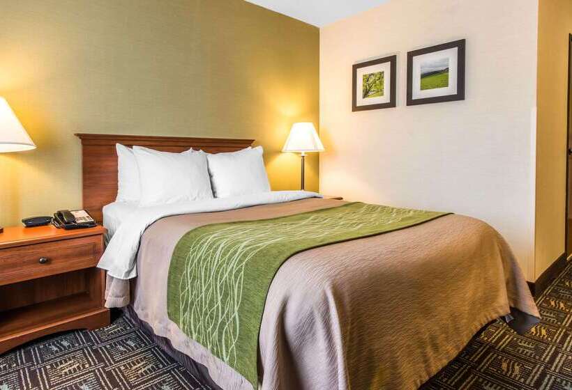 酒店 Comfort Inn