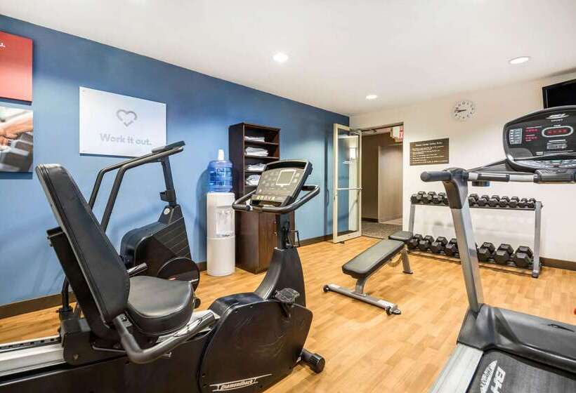 酒店 Comfort Suites At Par 4 Resort
