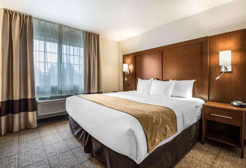酒店 Comfort Suites At Par 4 Resort