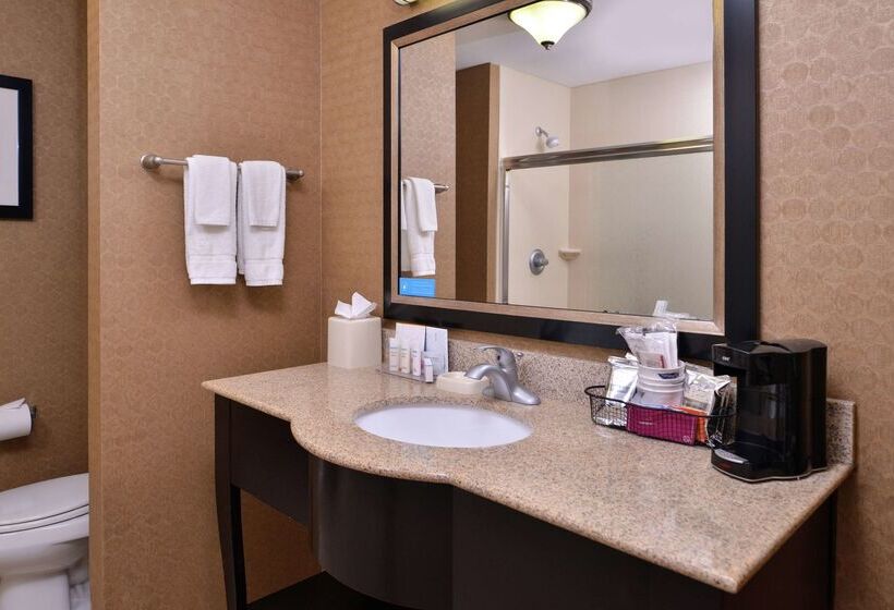 ホテル Hampton Inn & Suites Woodward