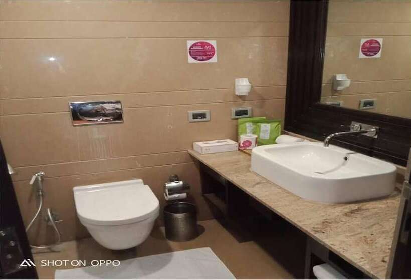 酒店 Royal Orchid Central Kireeti Hampi Hospet