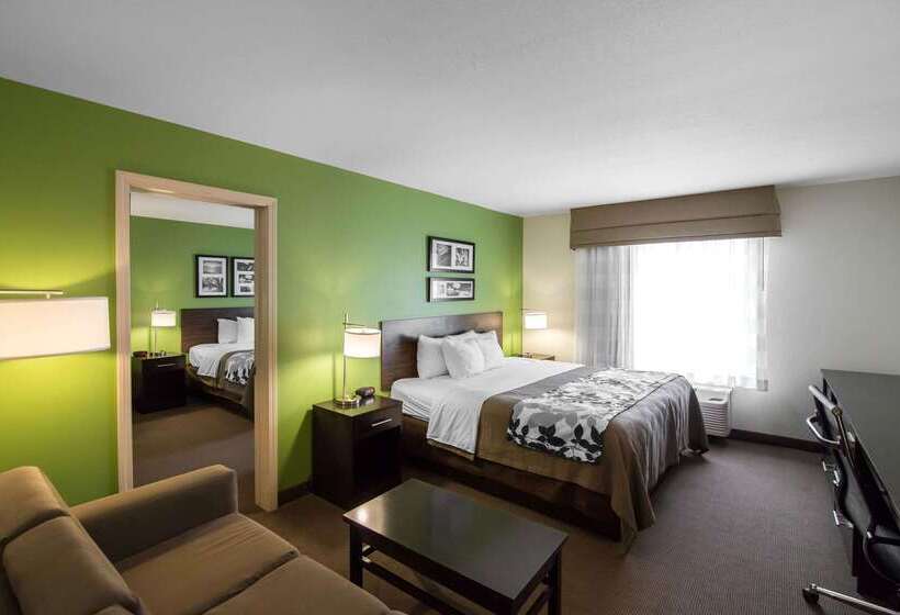 فندق Sleep Inn & Suites